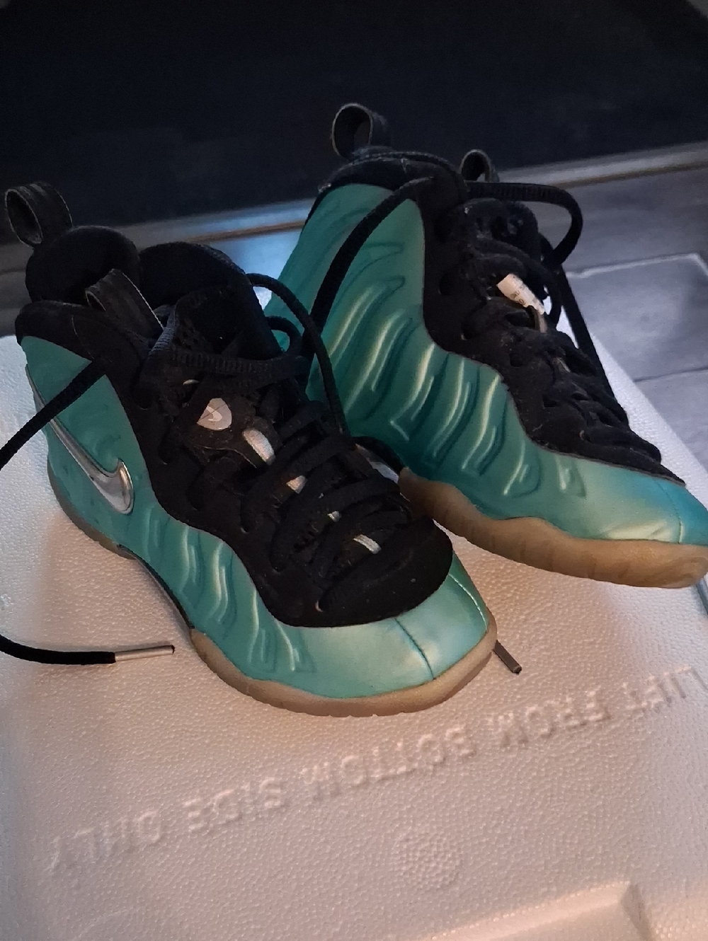 Nike Teal Foamposite Sneakers with Silver Swoosh